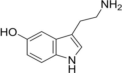 Exploring the mechanism of traditional Chinese medicine in regulating gut-derived 5-HT for osteoporosis treatment